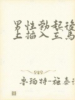 男性勃起后不马上插入立马变软封面