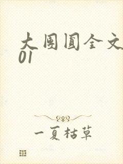 大团圆全文阅读01