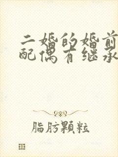 二婚的婚前财产配偶有继承权么