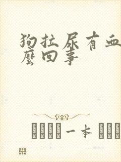 狗拉尿有血是怎么回事