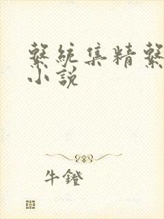 系统集精系统 小说封面