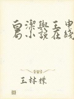 白洁与王申大结局小说在线阅读