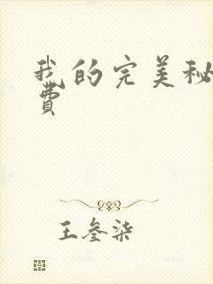 我的完美秘书免费