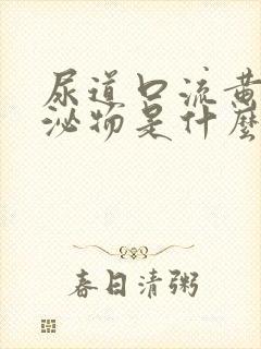 尿道口流黄色分泌物是什么原因