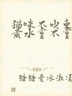 猫咪不吃东西吐黄水会不会死掉