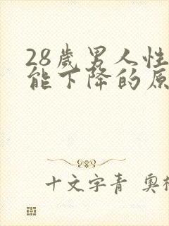 28岁男人性功能下降的原因