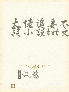 大佬追妻不择手段小说txt文本下载封面