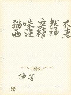 猫咪突然不吃东西没精神老是趴着