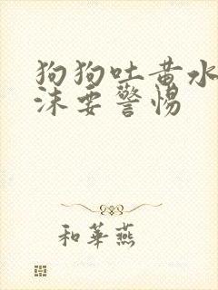 狗狗吐黄水带泡沫要警惕