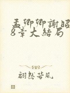 孟卿卿谢昭远18章大结局