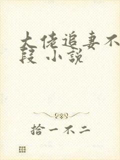 大佬追妻不择手段 小说封面