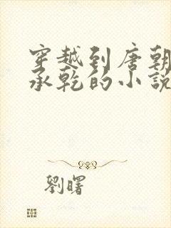 穿越到唐朝当李承乾的小说