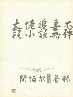 大佬追妻不择手段小说无弹窗最新章节封面