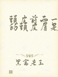 头皮前面一块块的头皮屑是怎么回事