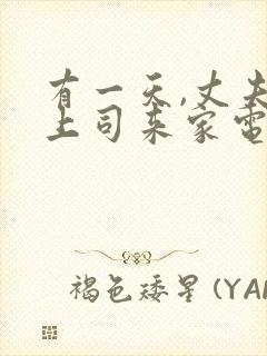 有一天,丈夫的上司来家电影免费观看