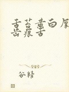 舌苔黄白厚腻有齿痕舌