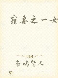 宠妻之一女二夫