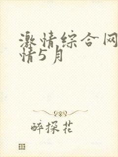 激情综合网,激情5月封面