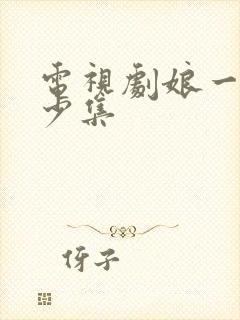 电视剧娘一共多少集封面