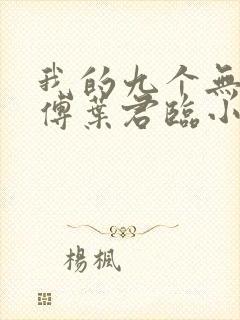 我的九个无敌师傅叶君临小说