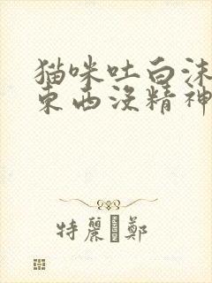 猫咪吐白沫不吃东西没精神怎么办