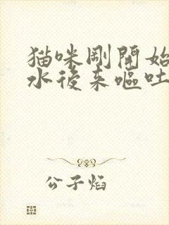 猫咪刚开始吐黄水后来呕吐白沫封面