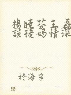 杨晓芬王磊(小说后妈情深)