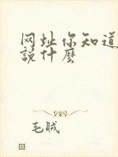 网址你知道我在说什么