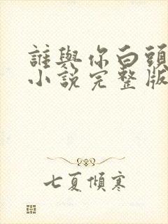 谁与你白头成眷小说完整版封面