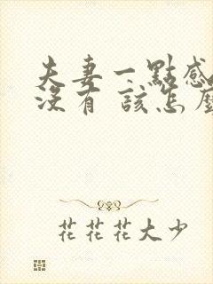 夫妻一点感情都没有 该怎么维持