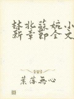 林北苏婉小说最新章节全文阅读