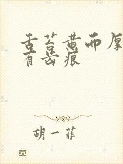 舌苔黄而厚腻并有齿痕封面