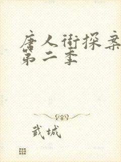 唐人街探案网剧第二季