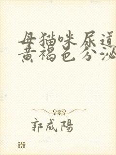 母猫咪尿道口有黄褐色分泌物