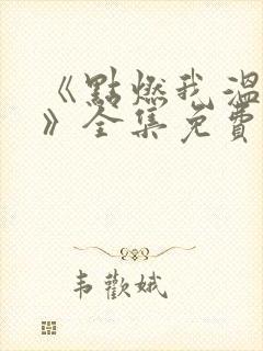 《点燃我温暖你》全集免费电视剧