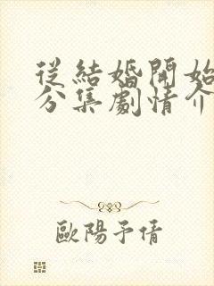 从结婚开始恋爱分集剧情介绍封面