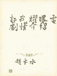 许我耀眼电视剧剧情介绍