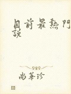 目前最热门的小说