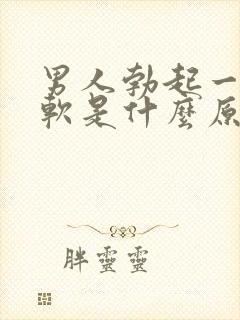 男人勃起一会就软是什么原因