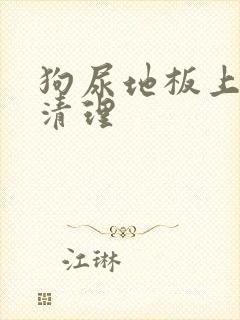 狗尿地板上怎么清理