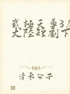 武极天尊3魔方大陆短剧下载