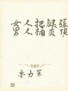 女人把腿张开让男人桶爽视频