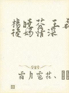 杨晓芬 王磊 后妈情深