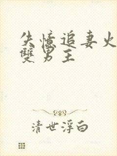 失忆追妻火葬场双男主