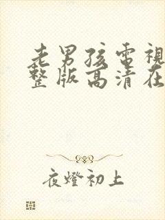 老男孩电视剧完整版高清在线观看