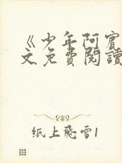 《少年阿宾》全文免费阅读