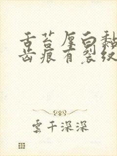 舌苔厚白黏腻有齿痕有裂纹