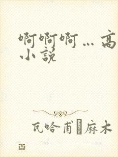 啊啊啊…高潮了小说