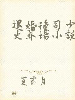 退婚后司少追妻火葬场小说全集封面