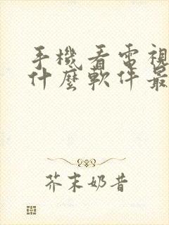 手机看电视下载什么软件最好